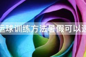 篮球绕杆运球训练方法视频教程下载百度网盘